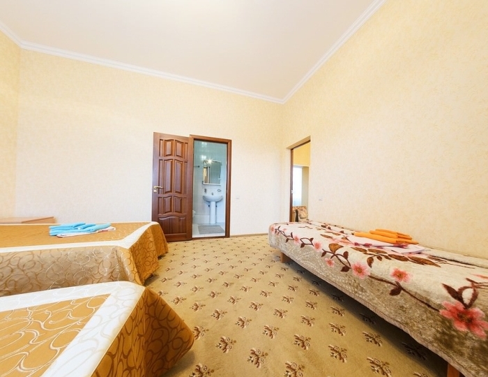 Стандарт 2-местный - Санаторий «Кавказ» Кисловодск